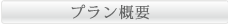 プラン概要